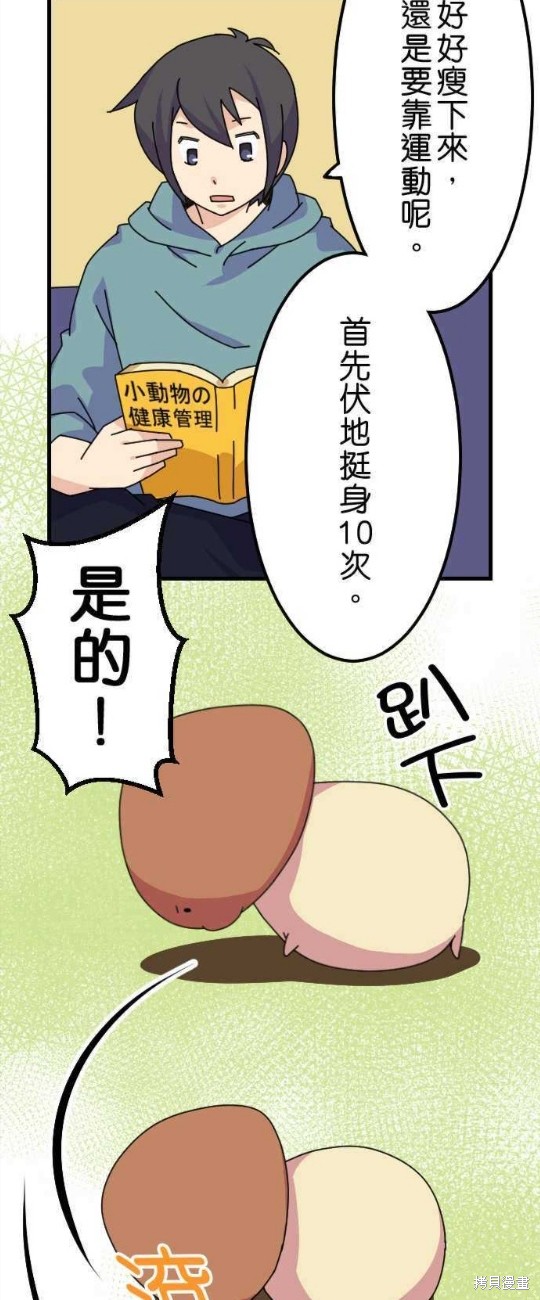 《香菇君，你在做什么?》漫画最新章节第17话免费下拉式在线观看章节第【2】张图片