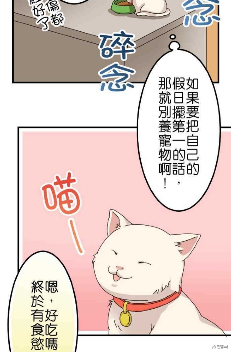 《香菇君，你在做什么?》漫画最新章节第45话免费下拉式在线观看章节第【17】张图片