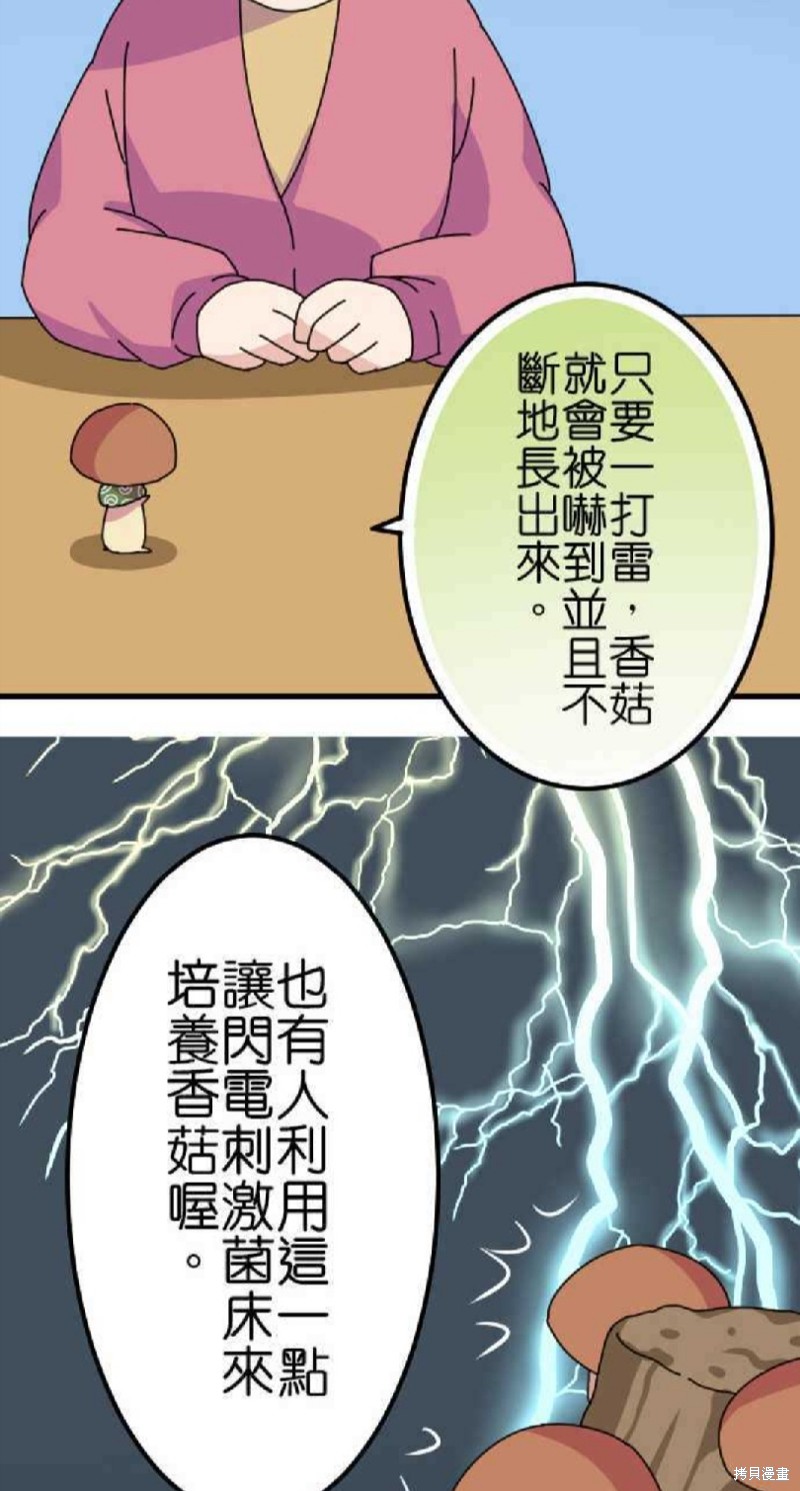 《香菇君，你在做什么?》漫画最新章节第50话免费下拉式在线观看章节第【17】张图片