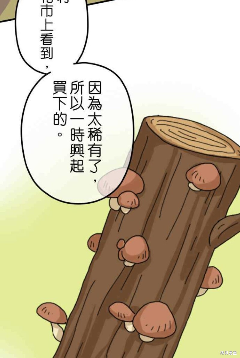 《香菇君，你在做什么?》漫画最新章节第2话免费下拉式在线观看章节第【7】张图片