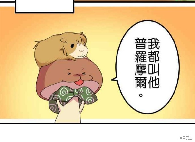 《香菇君，你在做什么?》漫画最新章节第61话免费下拉式在线观看章节第【73】张图片