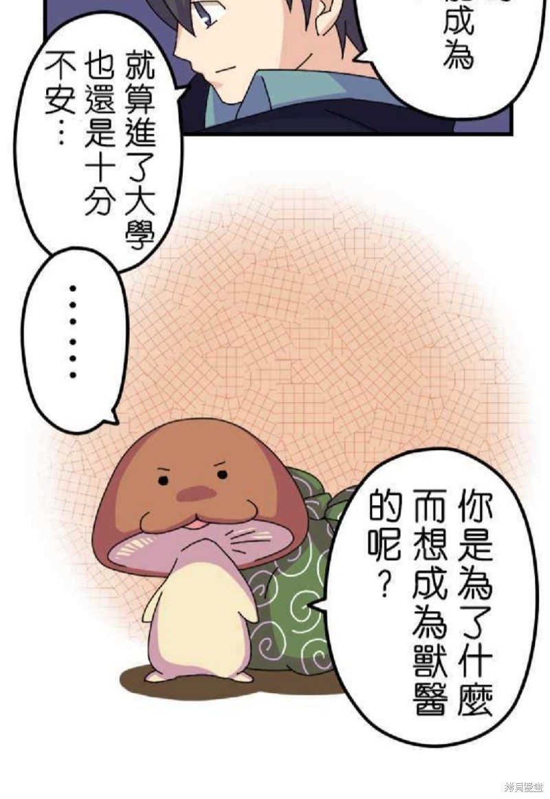 《香菇君，你在做什么?》漫画最新章节第3话免费下拉式在线观看章节第【10】张图片