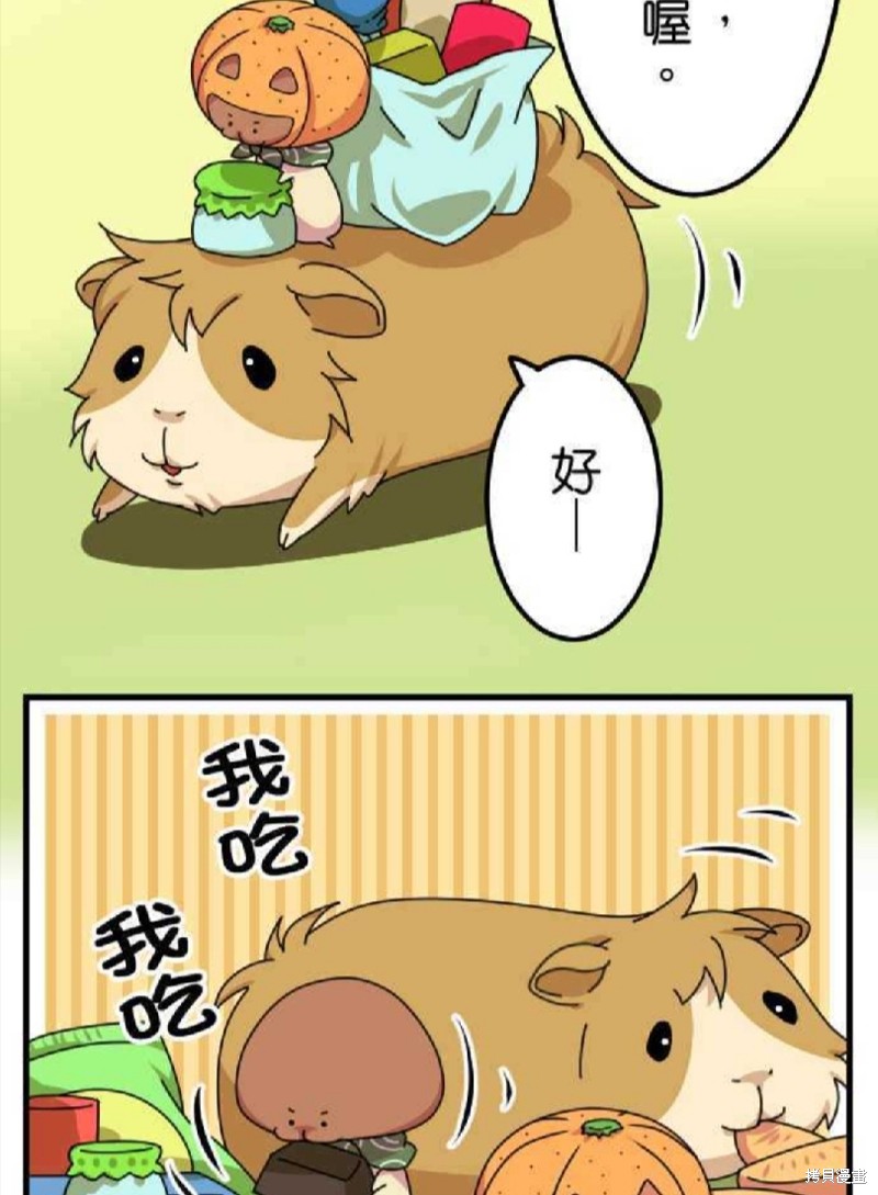 《香菇君，你在做什么?》漫画最新章节第19话免费下拉式在线观看章节第【9】张图片