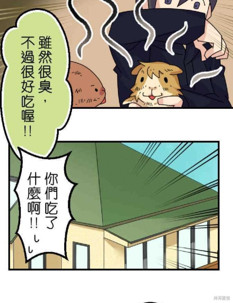 《香菇君，你在做什么?》漫画最新章节第26话免费下拉式在线观看章节第【28】张图片