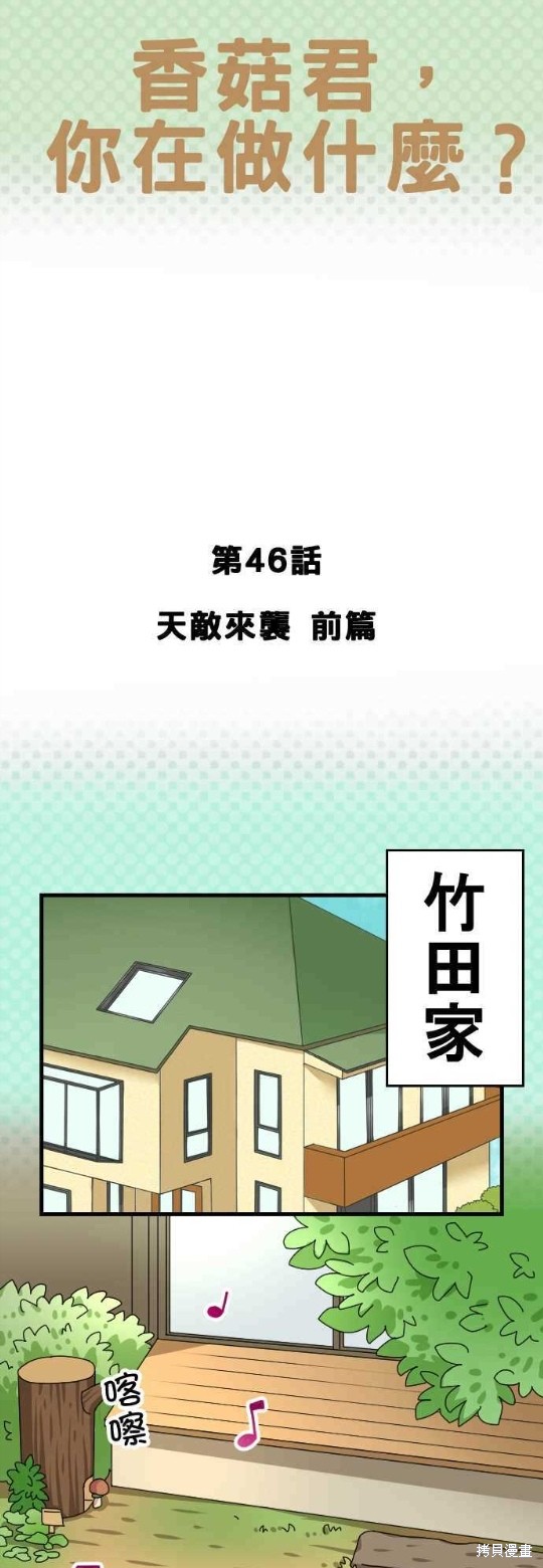 《香菇君，你在做什么?》漫画最新章节第46话免费下拉式在线观看章节第【1】张图片