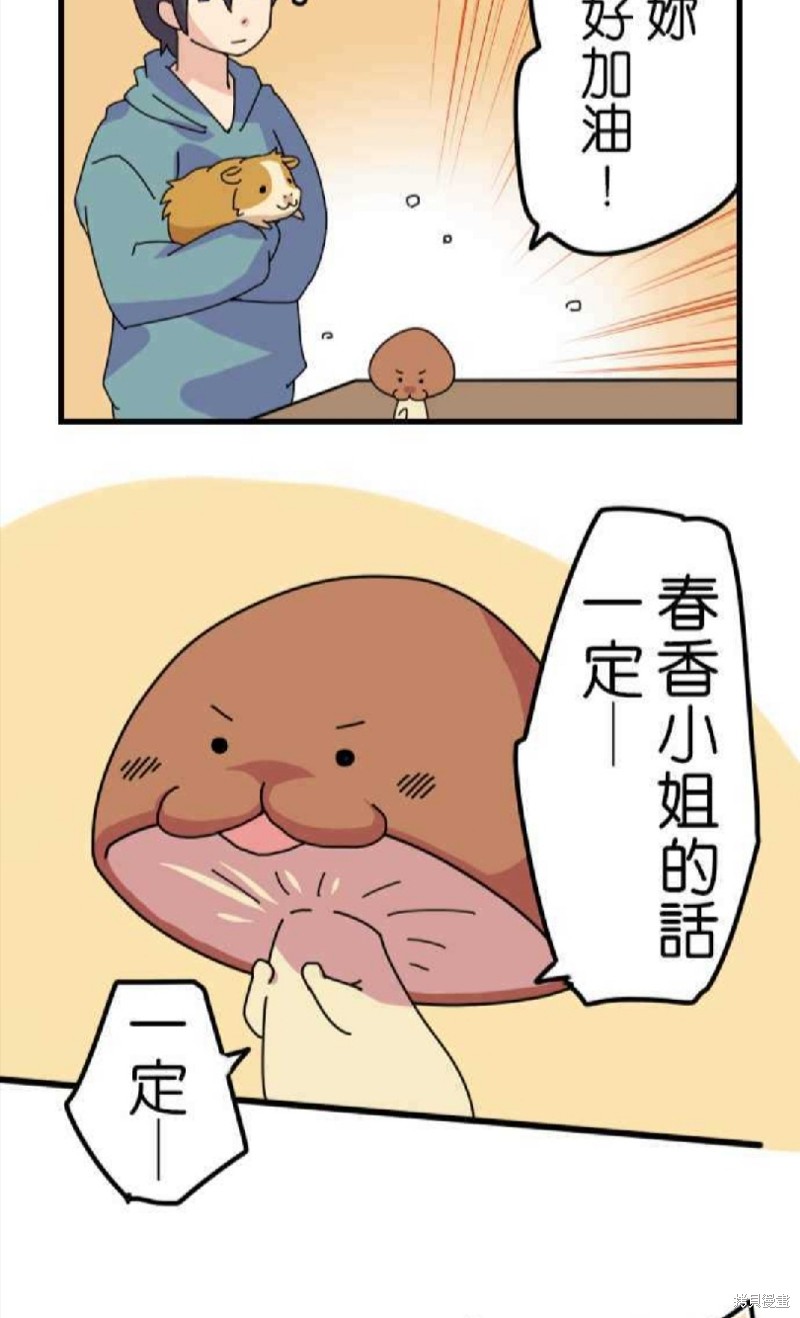 《香菇君，你在做什么?》漫画最新章节第4话免费下拉式在线观看章节第【29】张图片