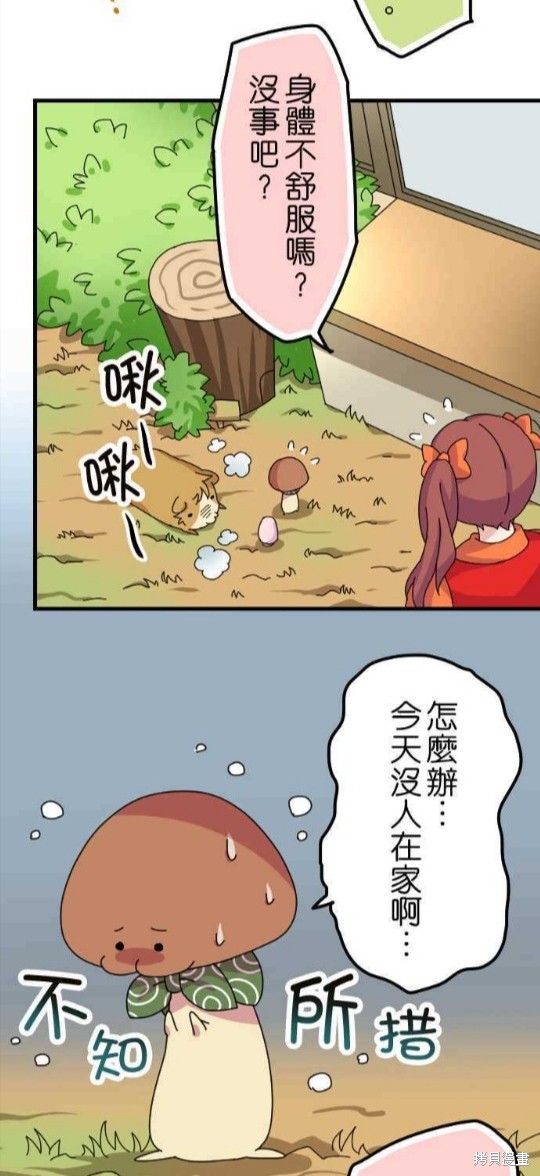 《香菇君，你在做什么?》漫画最新章节第48话免费下拉式在线观看章节第【7】张图片