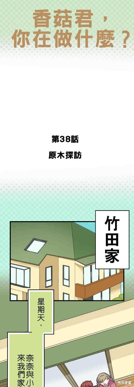 《香菇君，你在做什么?》漫画最新章节第38话免费下拉式在线观看章节第【1】张图片