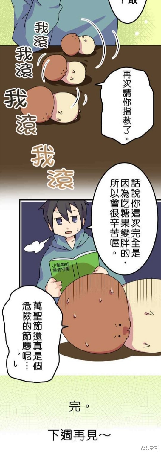 《香菇君，你在做什么?》漫画最新章节第19话免费下拉式在线观看章节第【20】张图片