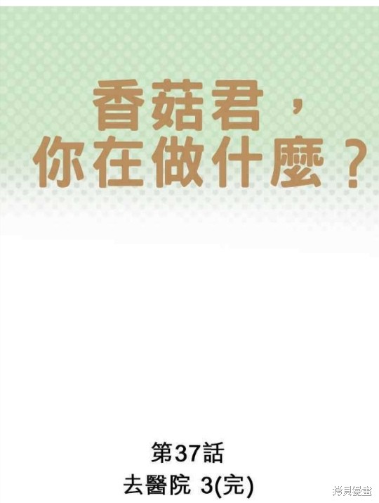 《香菇君，你在做什么?》漫画最新章节第37话免费下拉式在线观看章节第【1】张图片