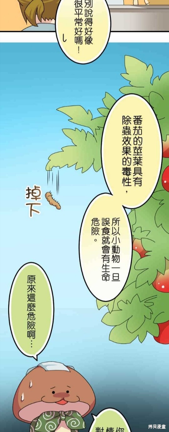 《香菇君，你在做什么?》漫画最新章节第49话免费下拉式在线观看章节第【14】张图片