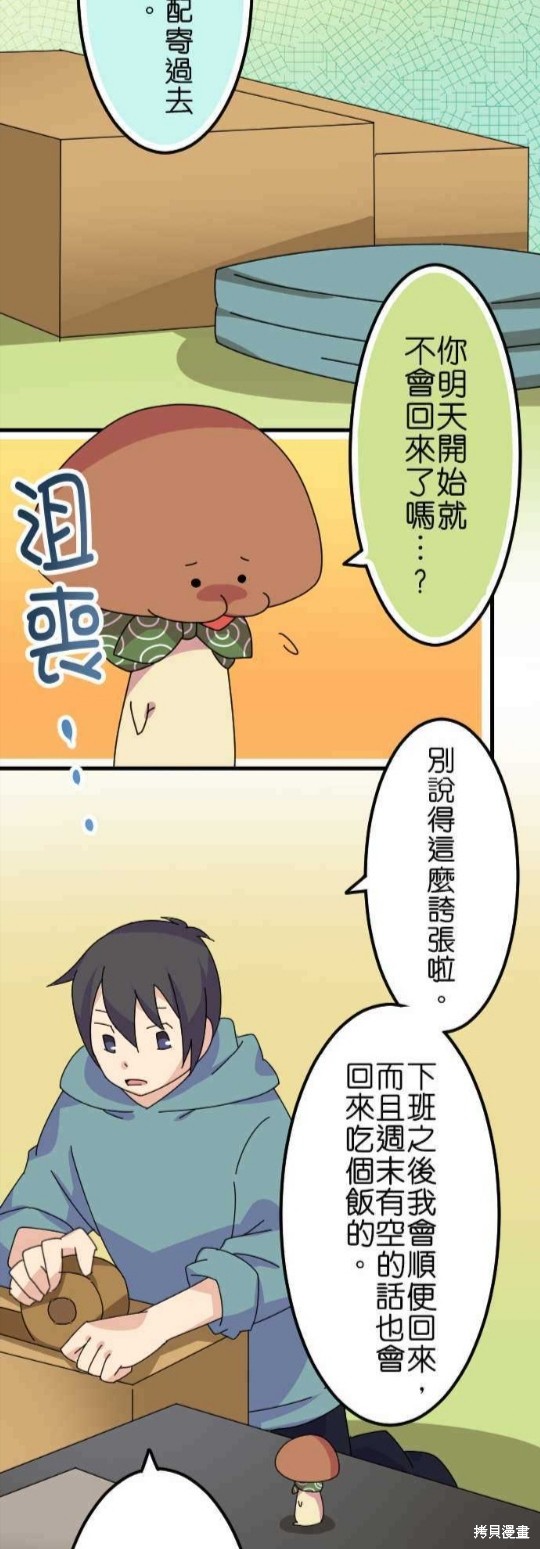 《香菇君，你在做什么?》漫画最新章节第41话免费下拉式在线观看章节第【15】张图片