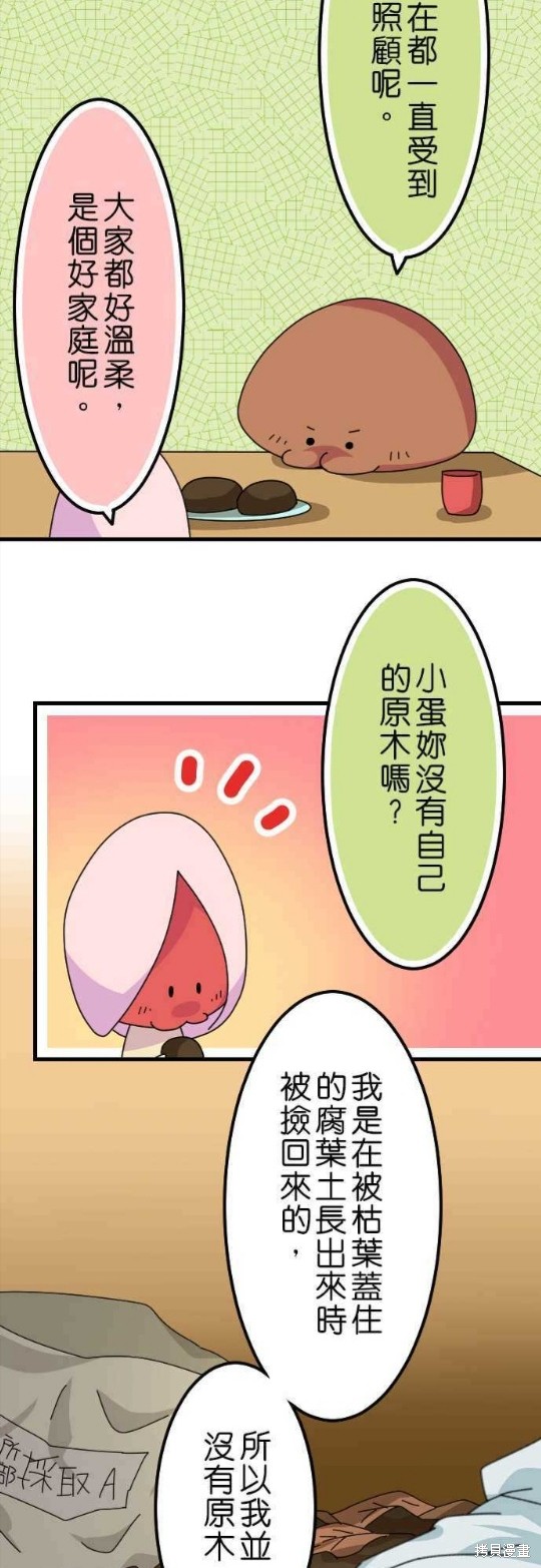 《香菇君，你在做什么?》漫画最新章节第38话免费下拉式在线观看章节第【12】张图片