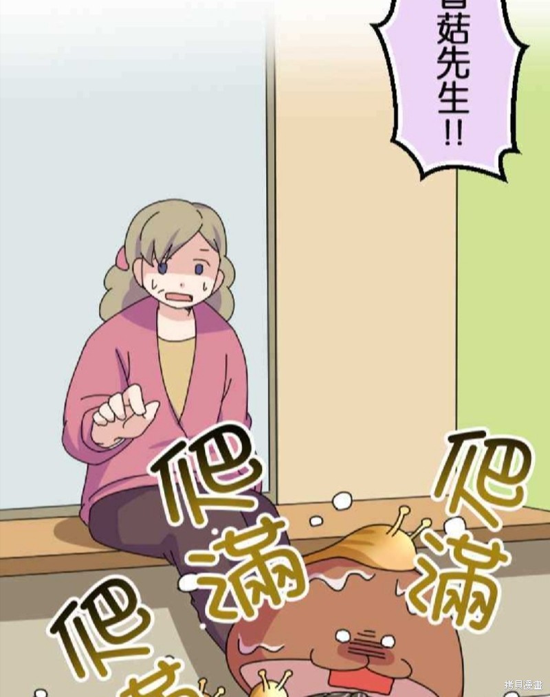 《香菇君，你在做什么?》漫画最新章节第47话免费下拉式在线观看章节第【29】张图片