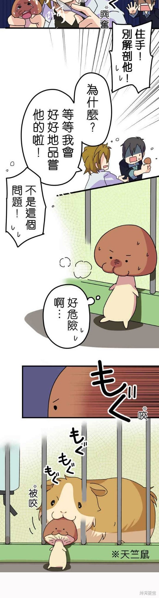 《香菇君，你在做什么?》漫画最新章节第3话免费下拉式在线观看章节第【20】张图片