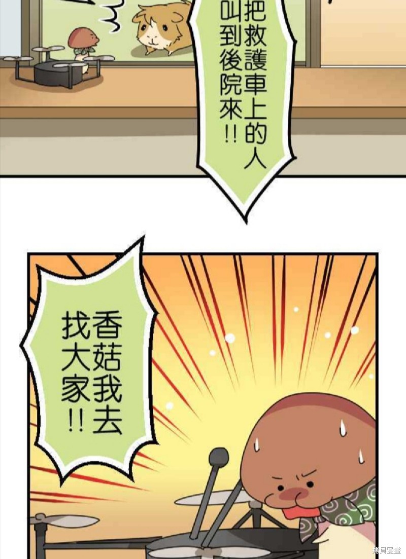 《香菇君，你在做什么?》漫画最新章节第66话免费下拉式在线观看章节第【12】张图片