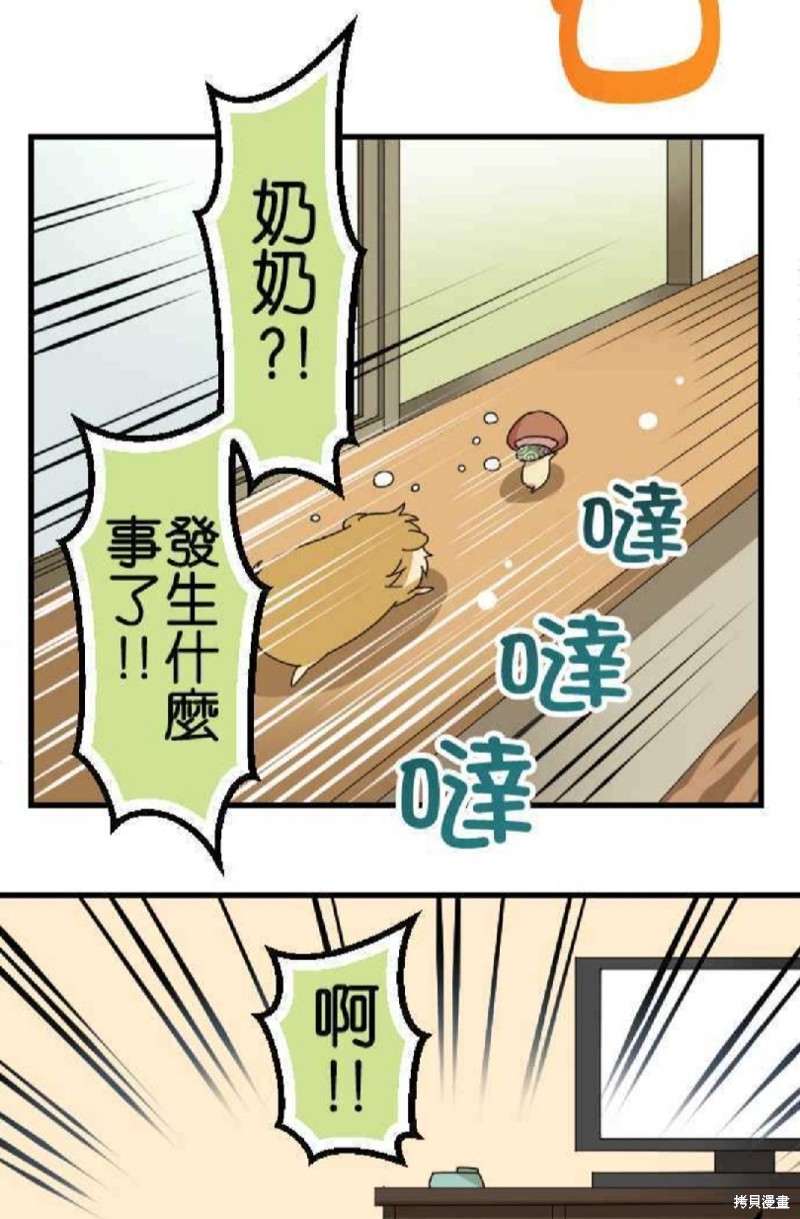 《香菇君，你在做什么?》漫画最新章节第66话免费下拉式在线观看章节第【5】张图片