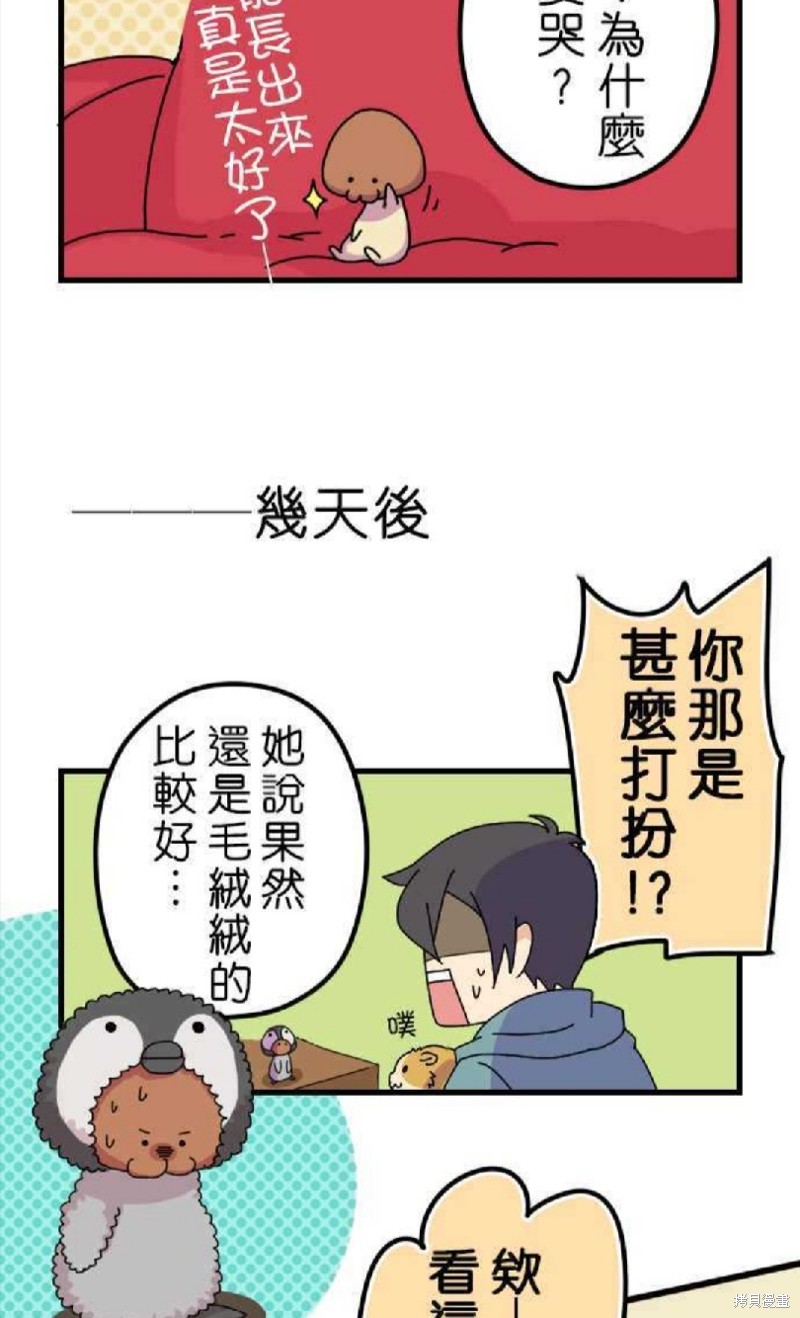 《香菇君，你在做什么?》漫画最新章节第4话免费下拉式在线观看章节第【24】张图片