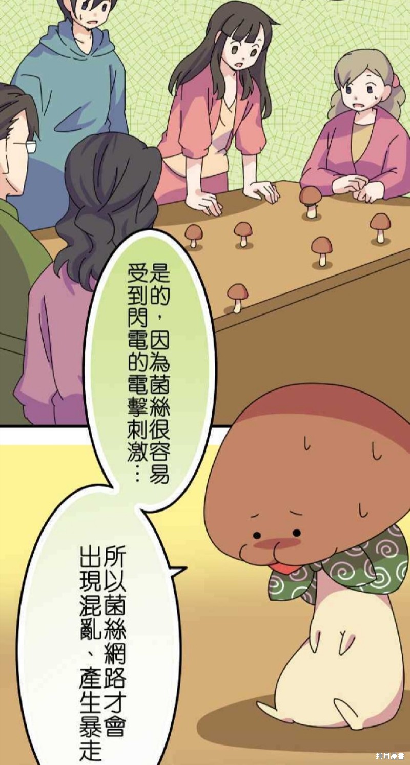 《香菇君，你在做什么?》漫画最新章节第50话免费下拉式在线观看章节第【15】张图片