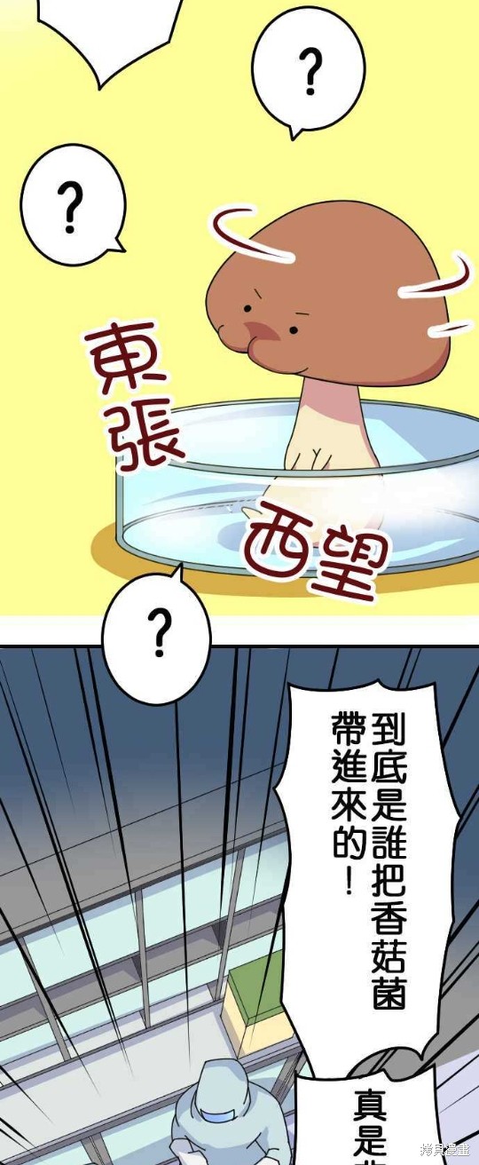 《香菇君，你在做什么?》漫画最新章节第14话免费下拉式在线观看章节第【12】张图片