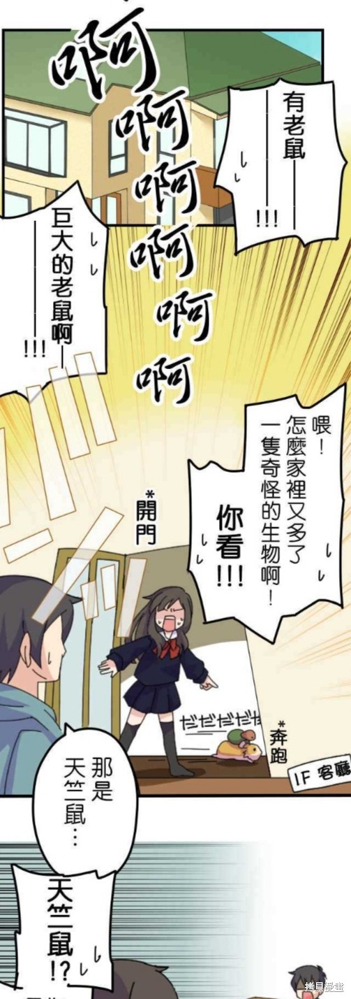 《香菇君，你在做什么?》漫画最新章节第4话免费下拉式在线观看章节第【3】张图片