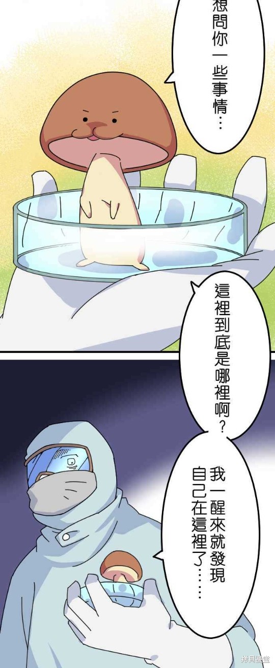 《香菇君，你在做什么?》漫画最新章节第14话免费下拉式在线观看章节第【14】张图片