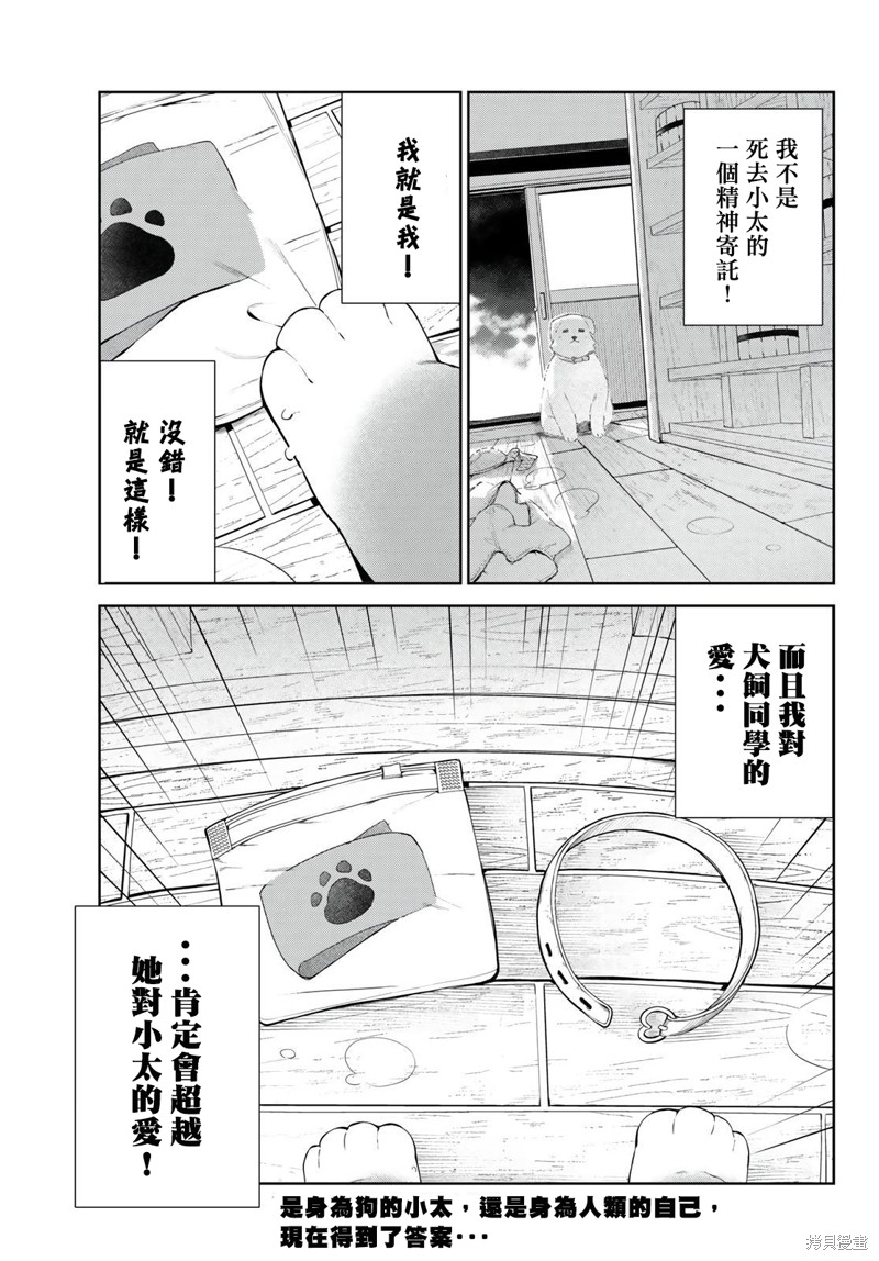 《身而为狗 我很幸福》漫画最新章节第38话 试看版免费下拉式在线观看章节第【23】张图片