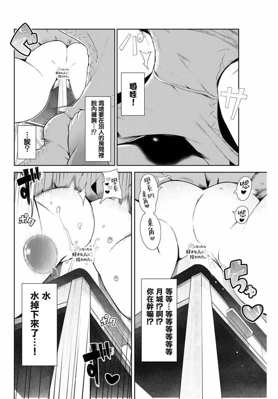 《身而为狗 我很幸福》漫画最新章节第8话免费下拉式在线观看章节第【8】张图片