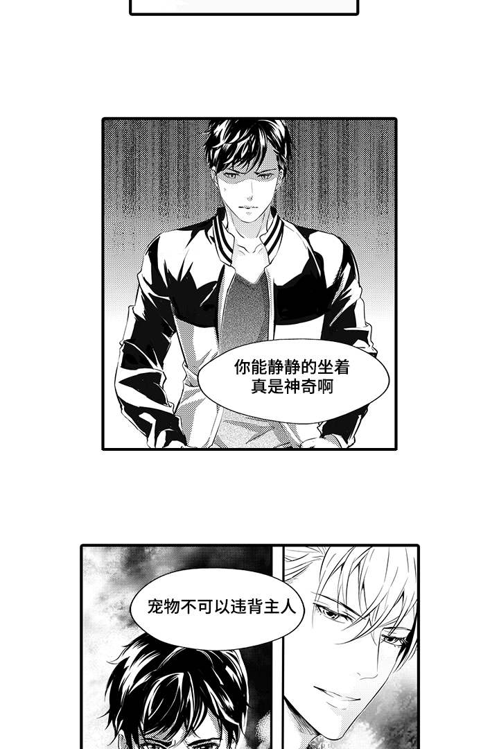 《追寻执念》漫画最新章节第8话免费下拉式在线观看章节第【15】张图片