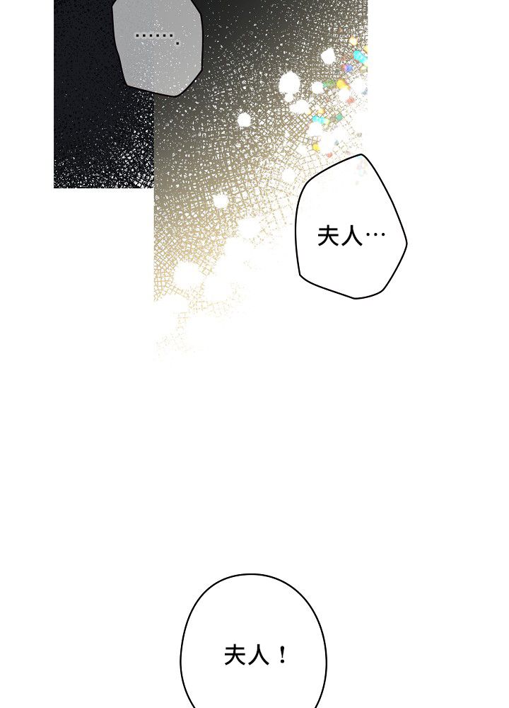 《花舞风吟》漫画最新章节第1话免费下拉式在线观看章节第【66】张图片