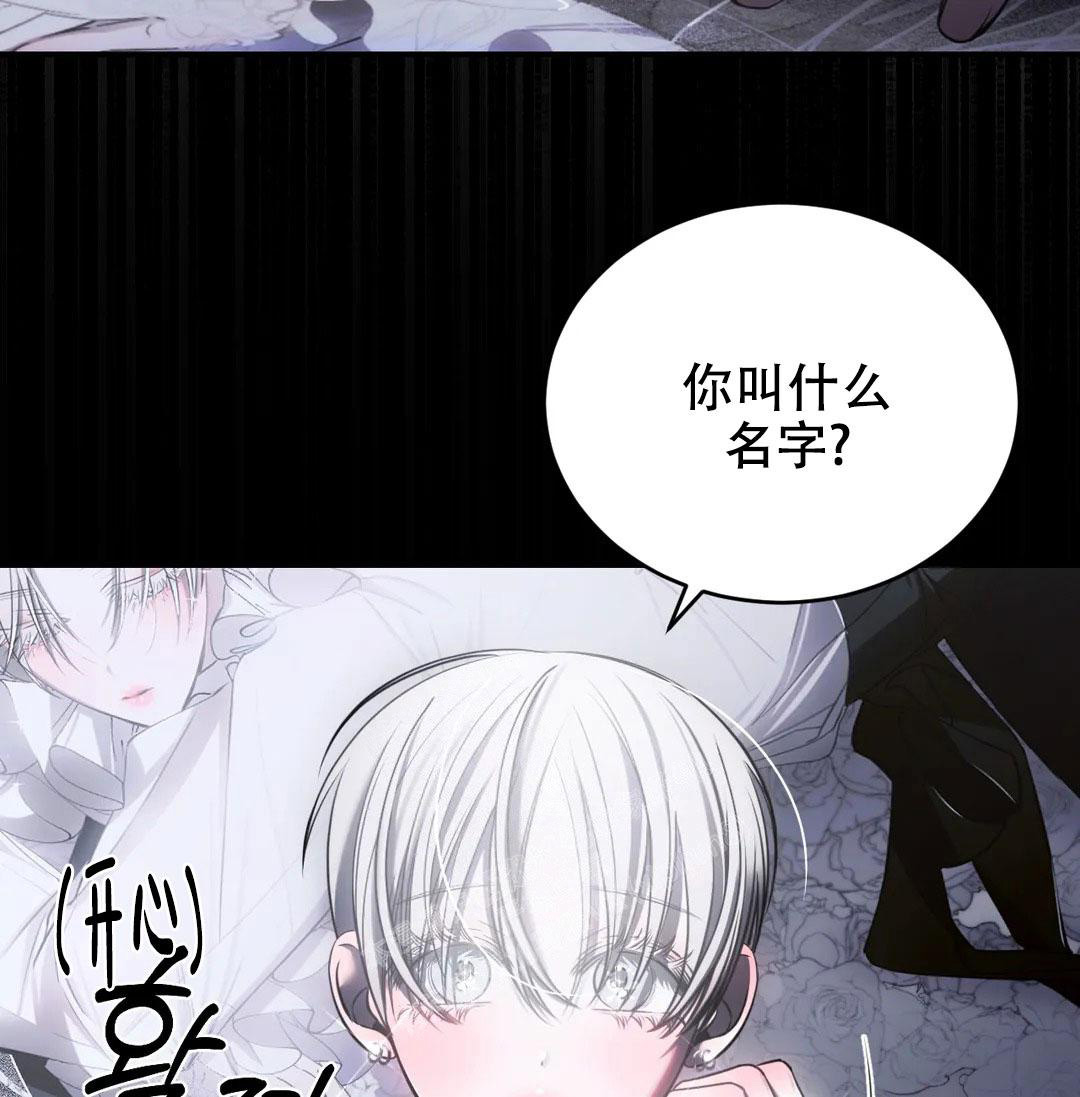 《万丈深渊》漫画最新章节第38话免费下拉式在线观看章节第【80】张图片