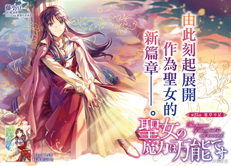 《圣女的魔力是万能的》漫画最新章节第25.1话免费下拉式在线观看章节第【2】张图片