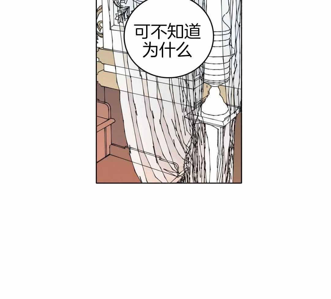 《亲爱的野兽》漫画最新章节第39话免费下拉式在线观看章节第【3】张图片