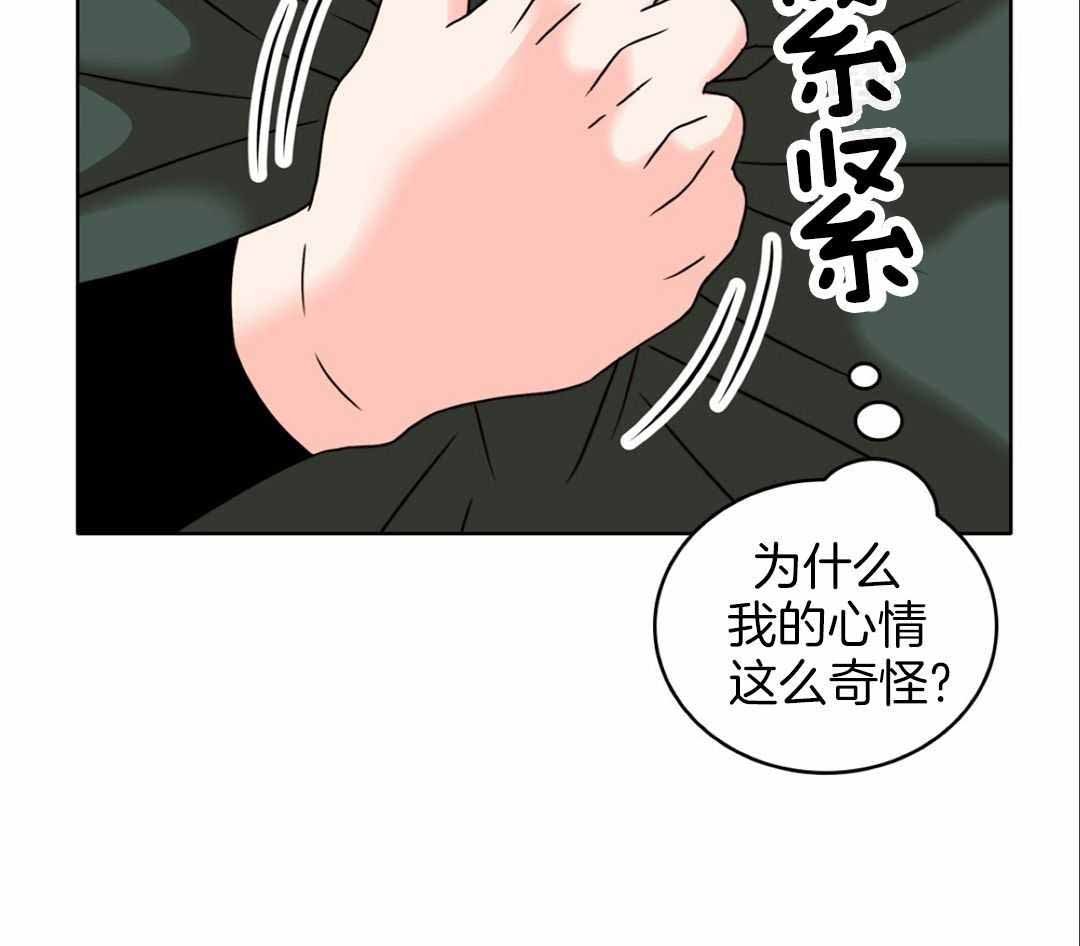 《亲爱的野兽》漫画最新章节第36话免费下拉式在线观看章节第【81】张图片