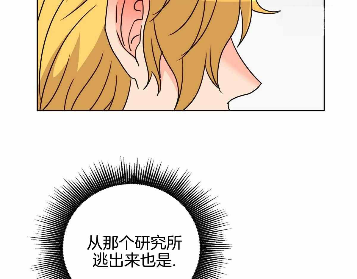 《亲爱的野兽》漫画最新章节第24话免费下拉式在线观看章节第【6】张图片