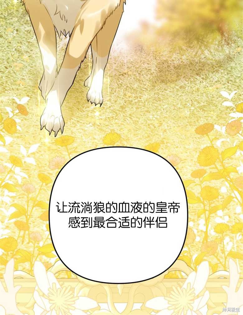 《偏偏变成了乌鸦》漫画最新章节第39话免费下拉式在线观看章节第【100】张图片