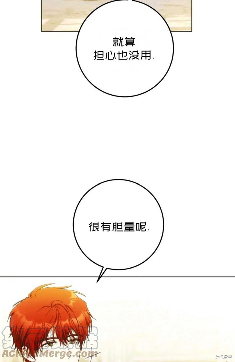 《成为我笔下男主的妻子》漫画最新章节第36话免费下拉式在线观看章节第【16】张图片