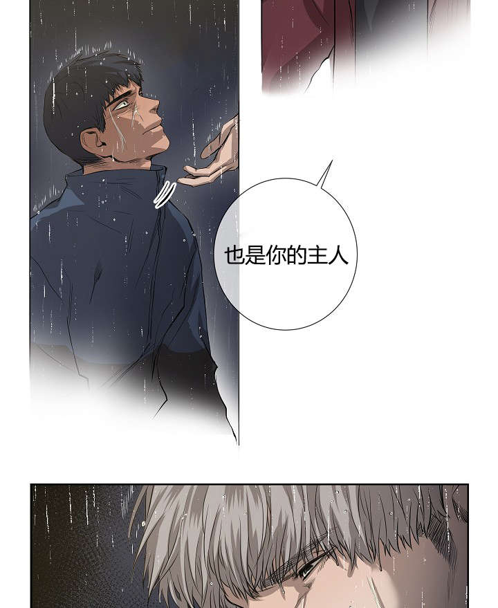 《间谍营救》漫画最新章节第39话免费下拉式在线观看章节第【65】张图片