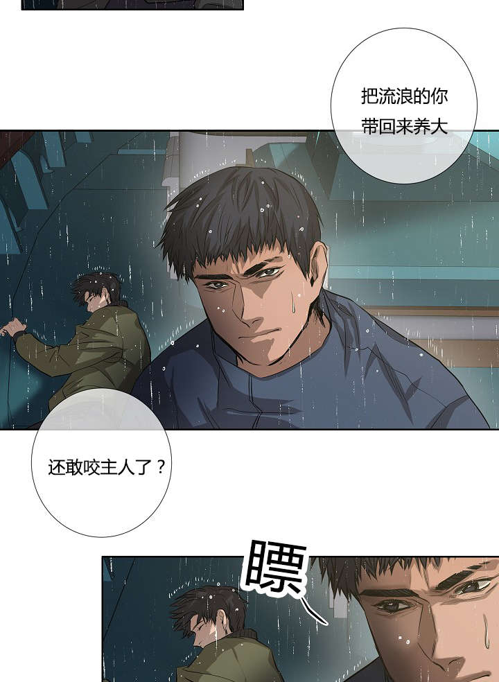 《间谍营救》漫画最新章节第39话免费下拉式在线观看章节第【11】张图片