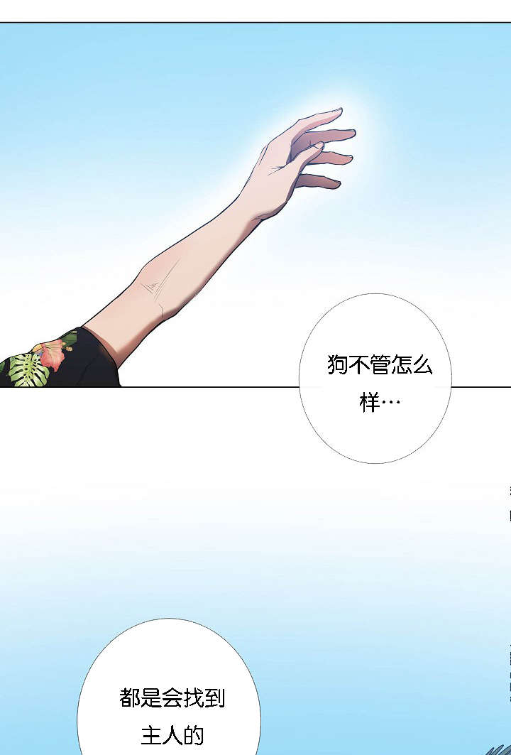 《间谍营救》漫画最新章节第43话免费下拉式在线观看章节第【61】张图片