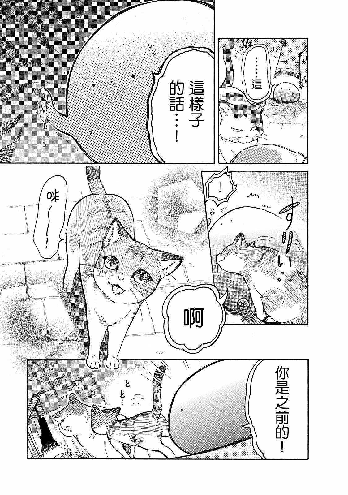 《网购技能开启异世界美食之旅 水水的大冒险》漫画最新章节第23话 崭新的皮包和小猫仔免费下拉式在线观看章节第【11】张图片