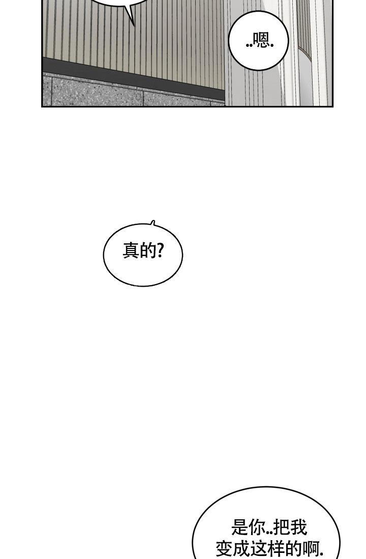 《动物园(I+II季)》漫画最新章节第49话免费下拉式在线观看章节第【15】张图片