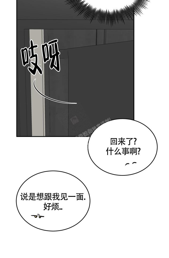 《动物园(I+II季)》漫画最新章节第22话免费下拉式在线观看章节第【41】张图片