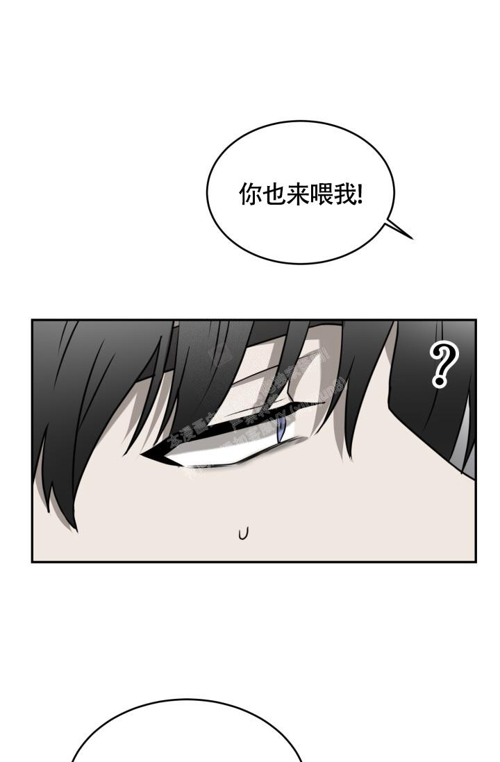 《动物园(I+II季)》漫画最新章节第40话免费下拉式在线观看章节第【2】张图片