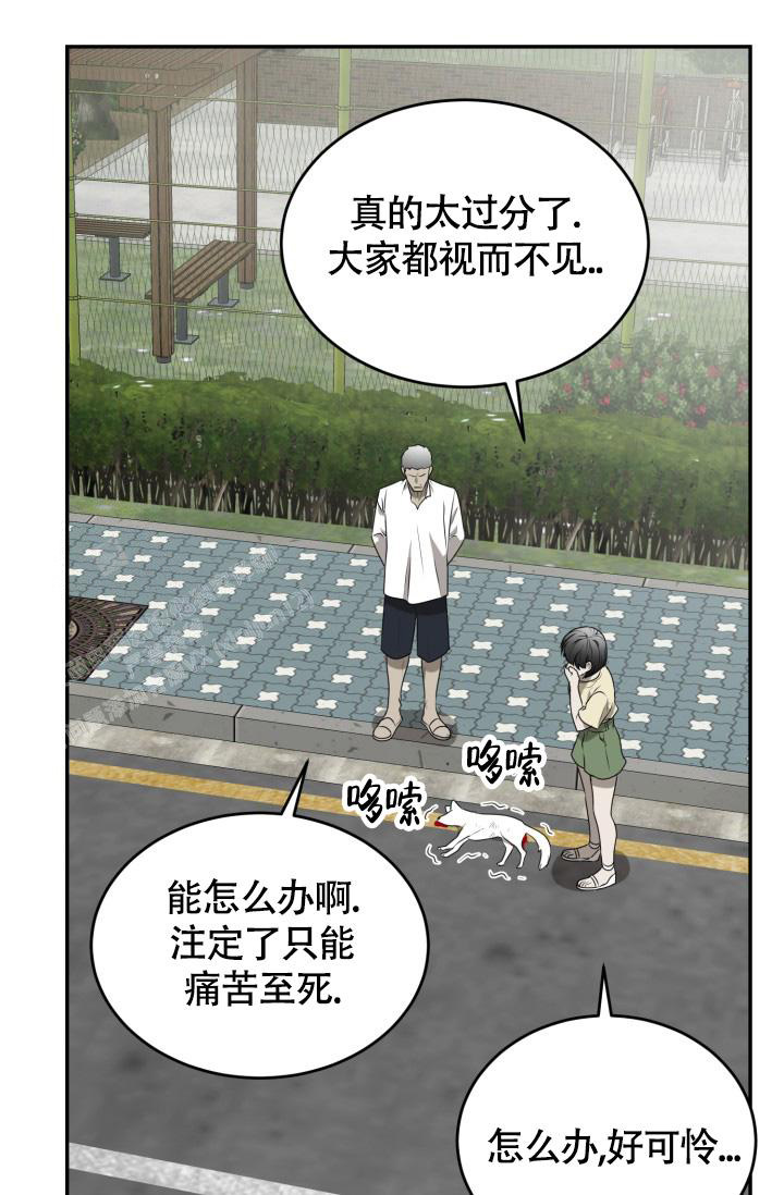 《动物园(I+II季)》漫画最新章节第54话免费下拉式在线观看章节第【31】张图片