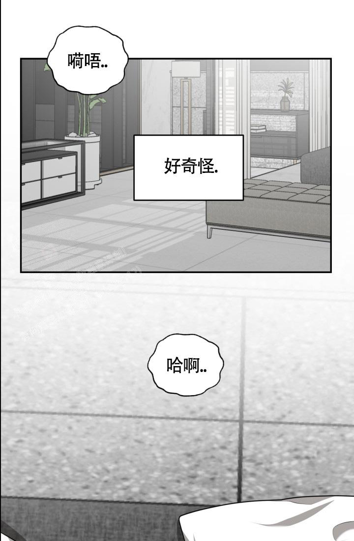 《动物园(I+II季)》漫画最新章节第49话免费下拉式在线观看章节第【24】张图片