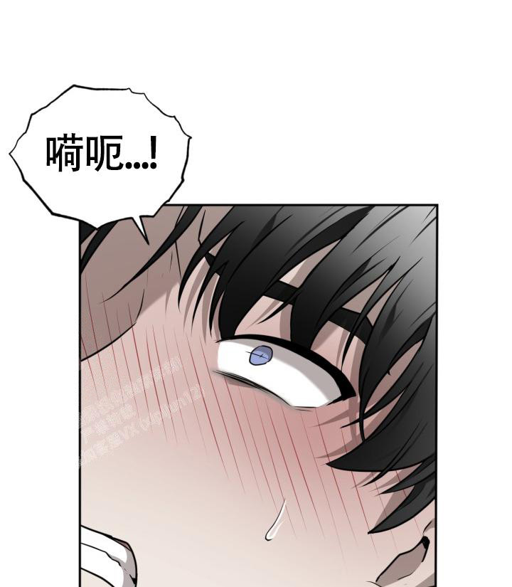 《动物园(I+II季)》漫画最新章节第41话免费下拉式在线观看章节第【35】张图片