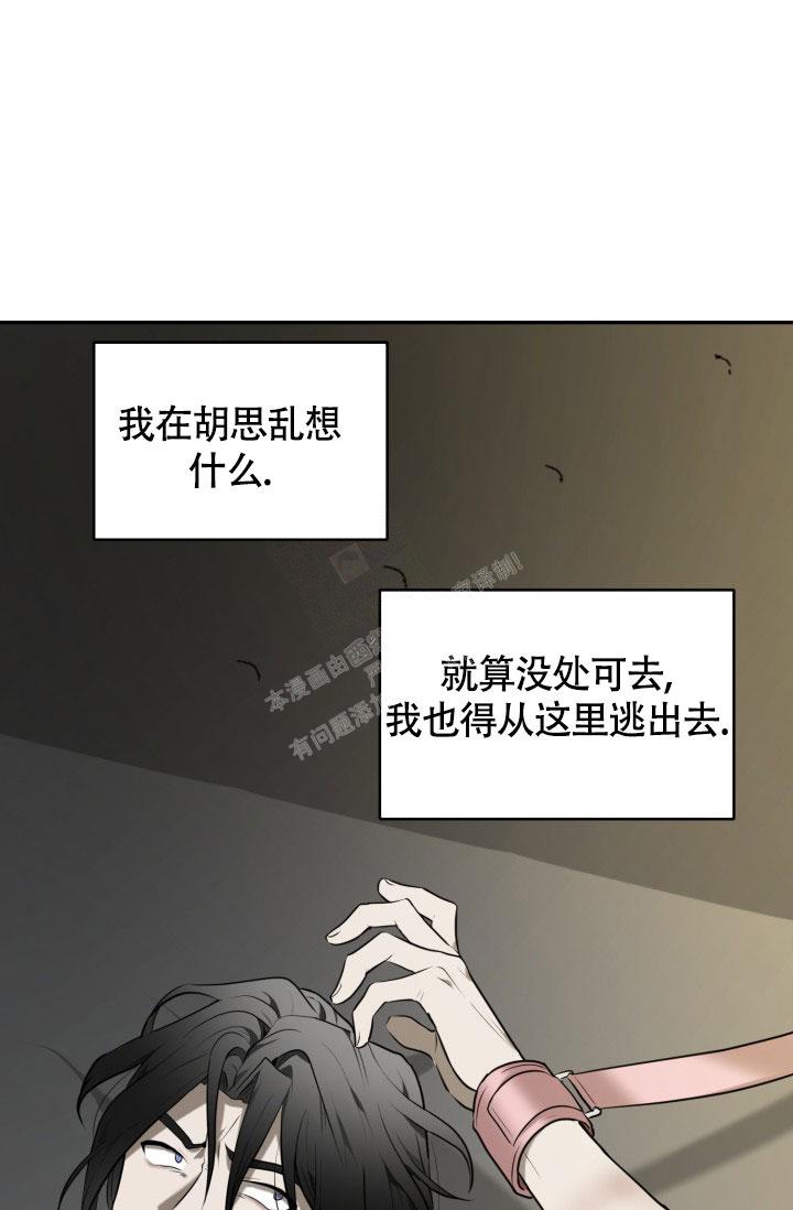 《动物园(I+II季)》漫画最新章节第12话免费下拉式在线观看章节第【41】张图片