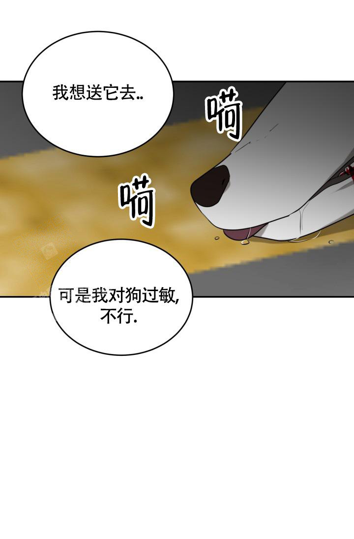 《动物园(I+II季)》漫画最新章节第54话免费下拉式在线观看章节第【30】张图片