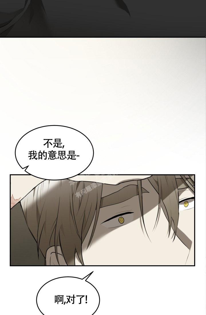 《动物园(I+II季)》漫画最新章节第11话免费下拉式在线观看章节第【19】张图片